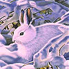 Rabbit in the snow slide puzzle