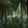 Rain Forest Jigsaw Game