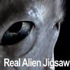 Real Alien Jigsaw