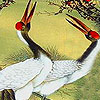 Red billed birds slide puzzle