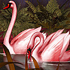 Red dream swans puzzle