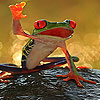 Red frog puzzle