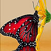 Red hungry butterfly puzzle