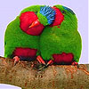 Red lovers slide puzzle