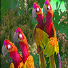 Red parrots on branch puzzle