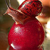 Red snail  slide puzzle