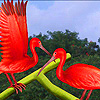 Red storks on the leaf puzzle