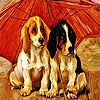 Red umbrella dogs slide puzzle