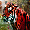 Red wild tigers puzzle