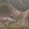 Rice Terrace Slider