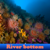 River bottom 5 Differences