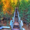 Roche-A-Cri State Park Jigsaw