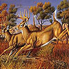 Runner deers slide puzzle
