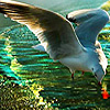 Seagulls in the ocean puzzle