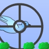 Shoot & Catch Birds