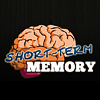 Short-Term Memory