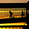 Silhouette Over the Bridge