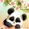 Sleepy Panda