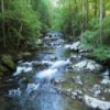 Smoky Mountains Jigsaw