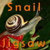 Snail Jigsaw