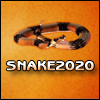 SNAKE 20-20