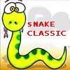 Snake classic