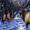 Snow and deers hidden numbers