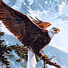 Snow capped mountain puzzle