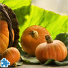 Solar Pumpkins Jigsaw Puzzle