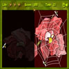 Spider Web
