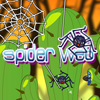 Spider Web