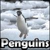 SSSG - Penguins