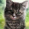 Strange cat slide puzzle
