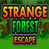 Strange Forest Escape