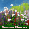 Summer Flowers