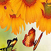 Sunflowers garden puzzle