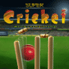 Super Cricket