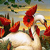 Swan and flowers slide puzzle