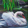 Swan in the reed slide puzzle