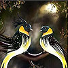 Sweet budgerigars slide puzzle