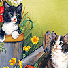Sweet cats  puzzle