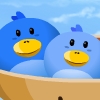 The Little Bird