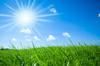 The Sunshine