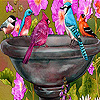 Thirsty birds slide puzzle