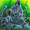 Tiny leopard puzzle