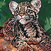 Tired baby tiger slide puzzle