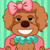 Toy Poodle Makeover