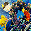 Tropical colorful fishes puzzle