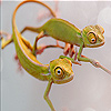 Twin cameleon slide puzzle