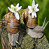 Two little snail slide puzzle